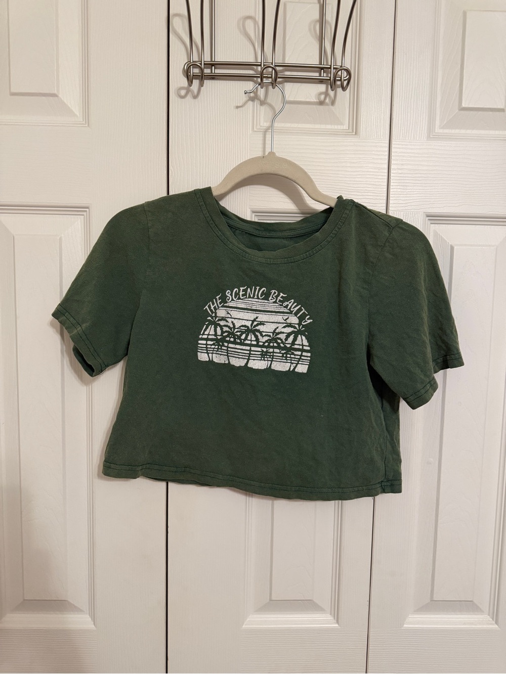 Dazy Green Scenic Beauty Cropped Graphic T Shirt Women’s Medium